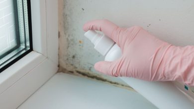 5 Questions to Ask Before Hiring a Mold Inspector